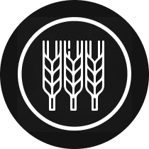 Black icon of three stalks of wheat – symbolizes AmSpec's Agri Division.