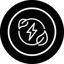 Icon of a white lightning bolt outlined by a circle with two white leaves on opposite sides of the circle and all enclosed in another white circle. The icon is on a black circle background.