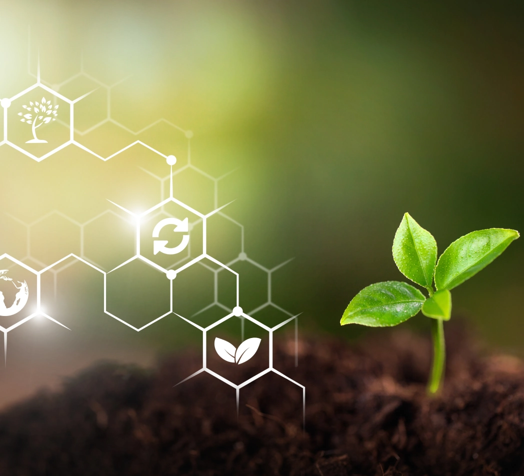 Plant growing out of the dirt with chemical symbols to the left.