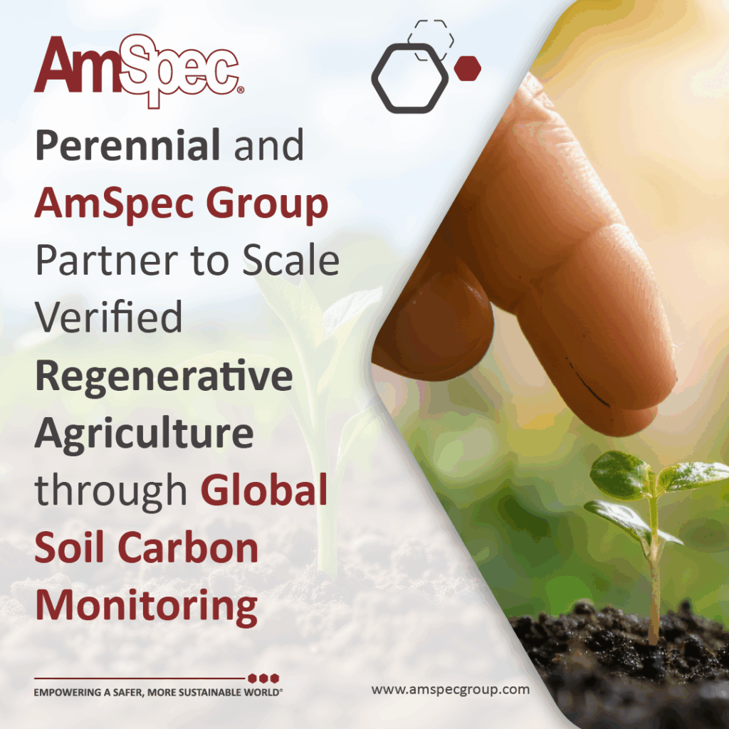 Amspec PerennialGraphic v2