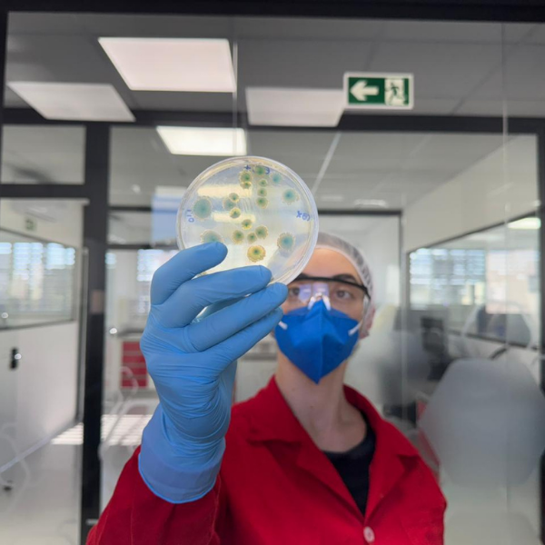 Amspec Inside AmSpec Curitiba Lab: Exploring the Science Behind Food Safety 5 Amspec 6